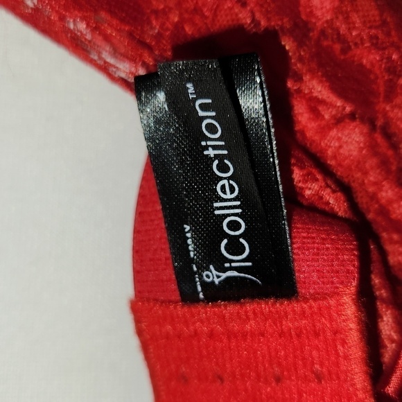 iCollection Women's Red Lace Mesh Adjustable Strap Hook Eye Lingerie Chemise 1X - Picture 14 of 14